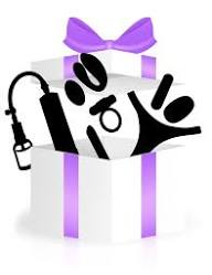 Mystery Toy Kit – Spécial Couples